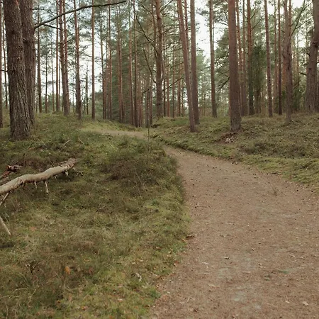 Berti